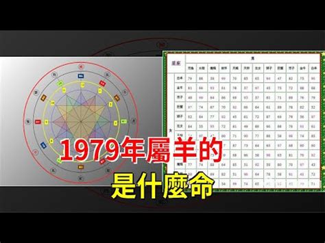 1979屬|【1979屬什麼】1979屬什麼？五行怎麼看？速配對象是誰？